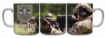 Picture of 7th Special Forces