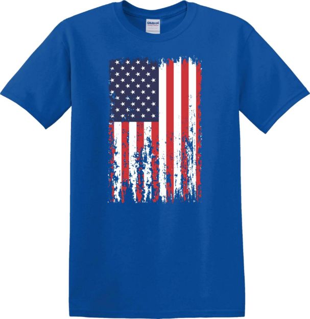 Picture of American Flag