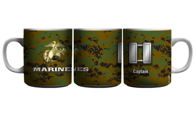Picture of EGA Captain Rank