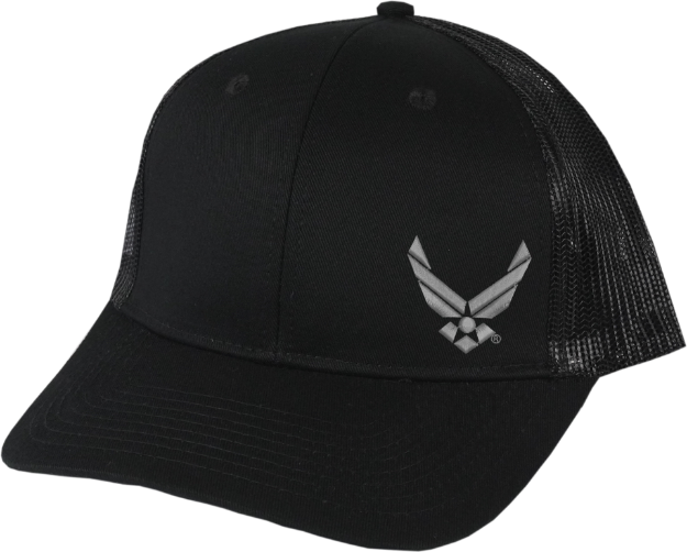 Picture of AIR FORCE