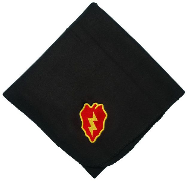 Picture of 25th Infantry