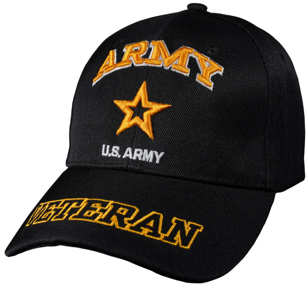 Picture of ARMY VETERAN
