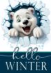 Picture of Hello Winter