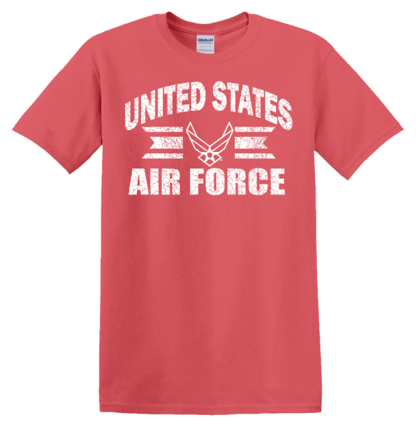 Picture of Air Force