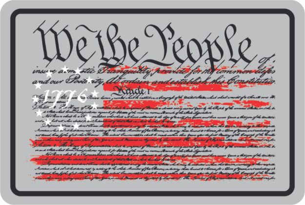 Picture of Sticker - We The People