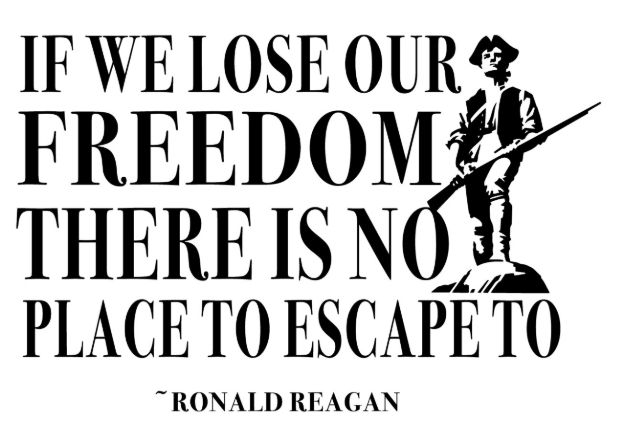 Picture of Mylar Decal - Freedom