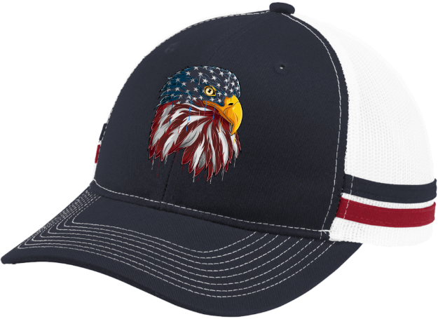 Picture of AMERICAN FLAG EAGLE