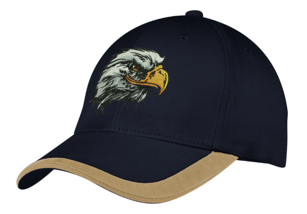 Picture of AMERICAN FLAG EAGLE