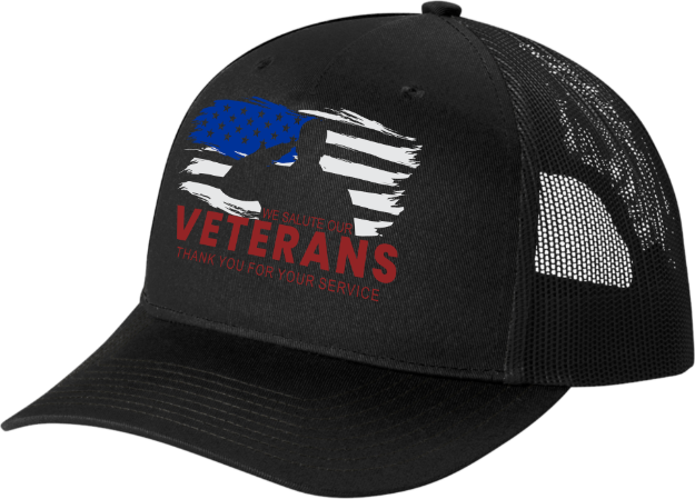Picture of SALUTE VETERAN