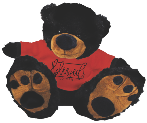 Picture of Blessed Plush Black Bear
