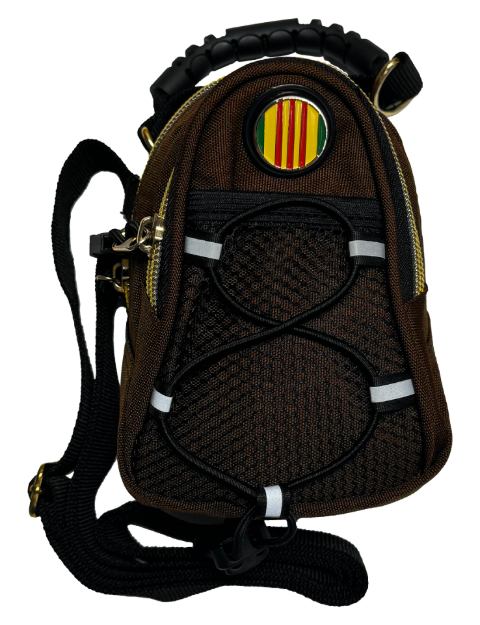 Picture of Vietnam Veteran Campaign Ribbon