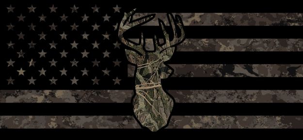 Picture of American Flag