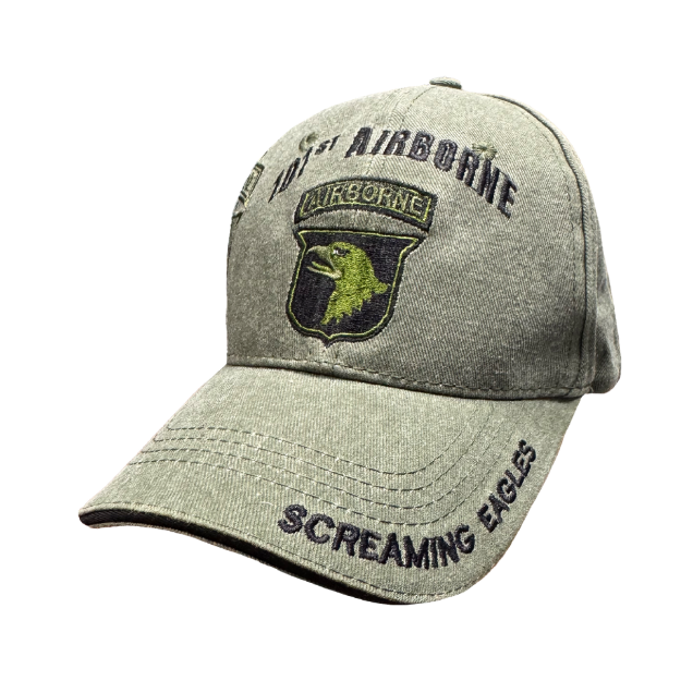 Picture of 101st Screaming Eagles