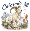 Sticker - Colorado Animal and Butterfly