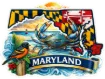Sticker - State of Maryland