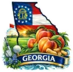 Sticker - State of Georgia